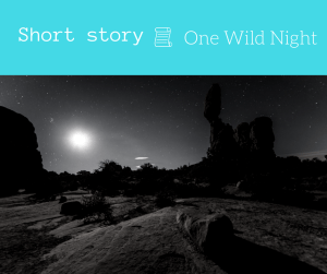 One Wild Night - 3 minute short story prose and pose short story blogger